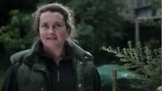 Hen Corner - 10 Top Tips #5 Noise