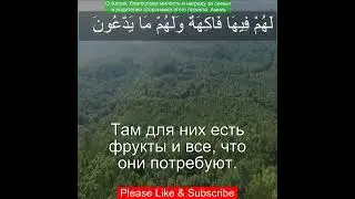 Коран Сура Ясин | 36:57 | Чтение Корана с русским переводом | Quran Translation in Russian