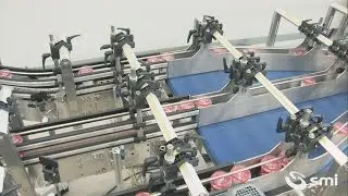 WP 400 casepacker