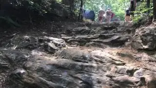 Toyota on lower section of Hairpin trail near Slade KY