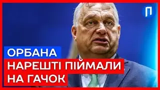 Рейтинг партії ОРБАНА 