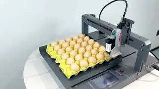 Egg inkjet printer