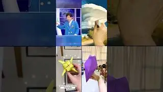 4 amazing flying paper toys / boomerang ninja star / best flying helicopters #shorts #shortvideo