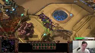 THE MOST INSANE COMEBACK IN ZVZ POSSIBLE!? PandaBearMe VS Namshar