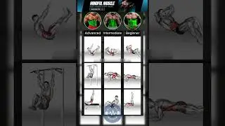Killer Abs Workout: Beginner to Advanced Core Exercises (No Equipment/Gym)