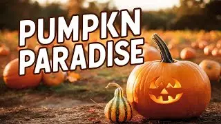 Beauty of Pumpkin Paradise, come join us