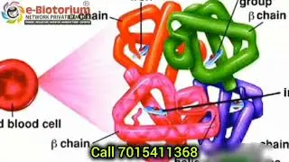 Ebiotorium Magnetic Products Demonstration. Health, Wealth & Happiness. More Info +917015411368