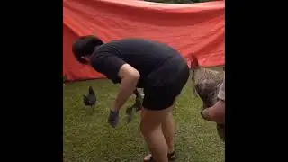 Kapitan Gelo vs. Chickens 🐔 🐓😭😅 #BGYO_OnTheGo #BGYO   