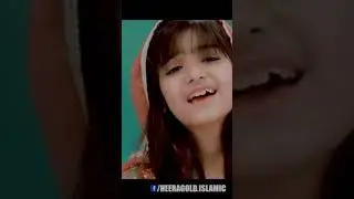 Nawal khan new natt 2024