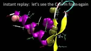 Simulation of millisecond protein folding:  NTL9  (from Folding@home)