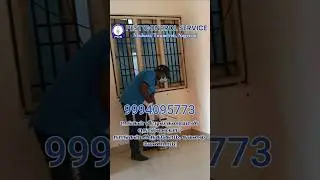 Termite : Post-Construction Karaiyaan Control | Madurai, Tirunelveli & Nagercoil  #pcs_pestcontrol