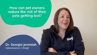 Reduce the Risk of a Pet Getting Lost | Lost Pet Prevention with Dr. Georgia