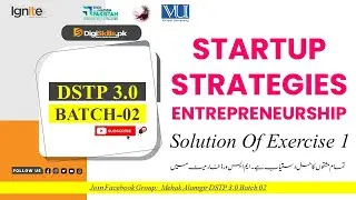 digiskills startup strategies & entrepreneurship exercise 1 | digiskills 2025