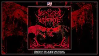Incineration in the Infinite - Death Portal (Full EP 2025) 🇺🇸