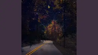 Pt. &xi;