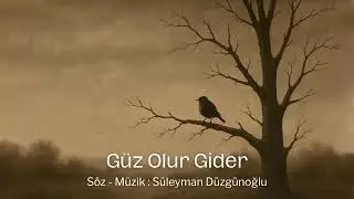 G&uuml;z olur gider 