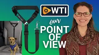 BWOGUE Pet Seat Belts | Our Point Of View