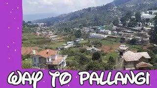 way to pallangi | பள்ளங்கி செல்லும் பாதை