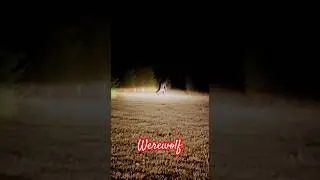 🌕 The Curse of the Werewolf | When the Moon Awakens the Beast 🐺 #ai #shorts #fyp