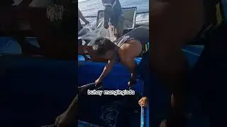 #fishingvideo #pangingisda #catchingfish #fishing