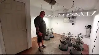 Dazor Lighting PARMAX8 650 Watt Review Update #2, Moving in the Plants!!!
