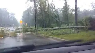 Hurricane Dorian (Part II) [Destruction in Summerville, South Carolina]