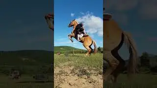 Легкий способ запрыгнуть на коня