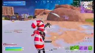 Playing Battle Royale Duos