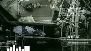 CattleEye AI in Action