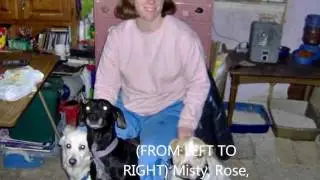 Rainbow Bridge---For Misty