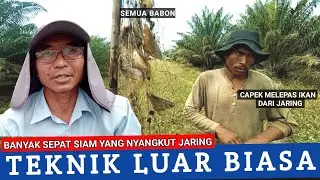 Manceng Sepat Siem Besar Pakai Jaring Cucuk