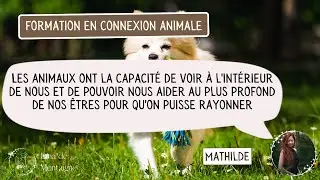 T&eacute;moignage Mathilde - Formation professionnelle Connexion animale