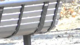 Video shot through 2600mm lens.
