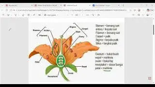 251218 Learning Biology To Take On SMAU-Garuda Admissions Tests