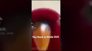 The Rock Face | Meme #therock #memes #viral #shorts