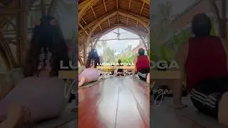 Bali Yoga retreat #yoga #baliyoga #yogabali #baliyogaschool #yogaclass #vinyasa #yogatutorial