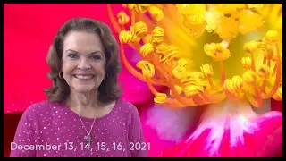 Aries December 13, 14, 15, 16, 2021 YOU Are Making Progress!
