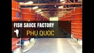 Phu Quoc Fish Sauce Factory Tour