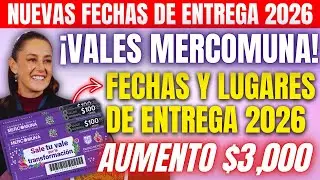 Aumento y Nuevas Entregas Lo que Viene para Vales Mercomuna en 2026
