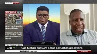 Ad Hoc Committee | 'Cat' Matlala denies links to Tembisa hospital fraud