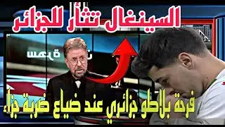 فرحة هستيرية فبلاطو جزائري بعد ضياع ضربة جزاء 🤯فريد المعطاوي /سينغال تثأر للجزائر من كولسة القجع