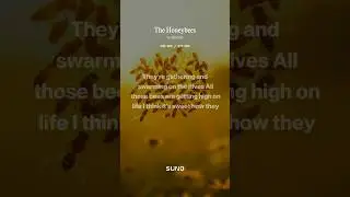 The honeybees song #asmr #honeybeesting #bee #honeybee #beekeeping #insect #honey #pollinator #save