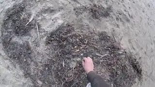 Clean Green Earth For All (this is how we do it)