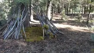 tiny village #sasquatchhomes #bigfoot # wilderness #homes