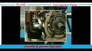 24.In-Line Motorpal Size M.I Pump Assembly of governor flyweights( تركيب أثقال أوزان الجفرنير)