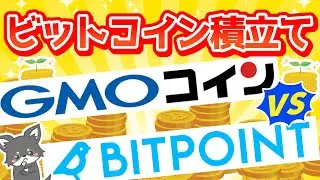 GMOコインとBitpointどっちがいいの？実際にBTC積立てしてわかったこと【BTC積立て5ヶ月目】
