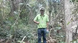 CIMG1394