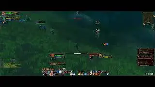 Deadly Nets!! #wowhc  #worldofwarcraft #classichc #ClassicHardcore