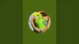 টোনাটুনি is live