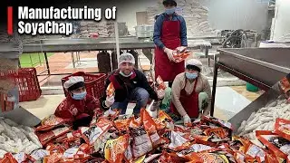 क्या soyabein chap वाकई मैदे से banti hai? Jaaniye पूरी सच्चाई | Manufacturing of Soya Chap |